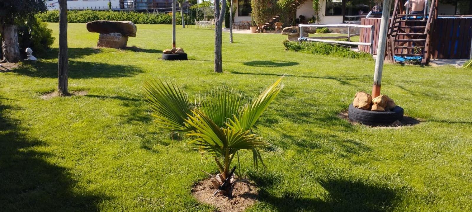 Finca Los Pajaros Cerca De Puy Du Fou Toledo Navahermosa  Екстер'єр фото